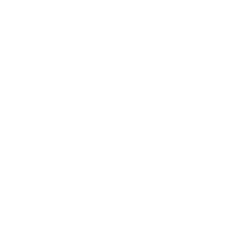 Play icon