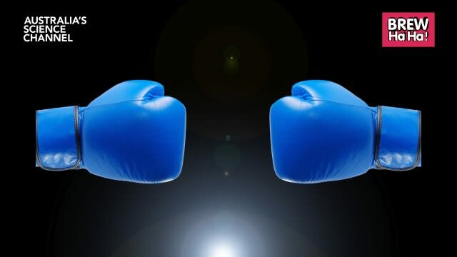 Placeholder