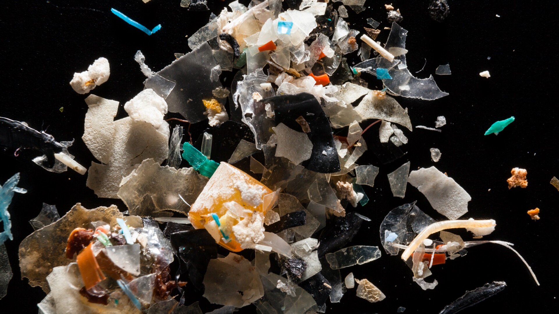 microplastic pollution
