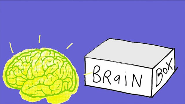 Bernadette Fitzgibbon – Neuroscientist