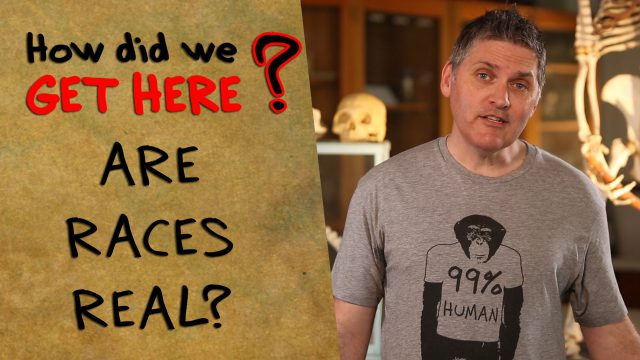How did we get here? Are races real?