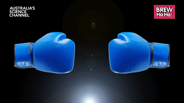 Energy Showdown