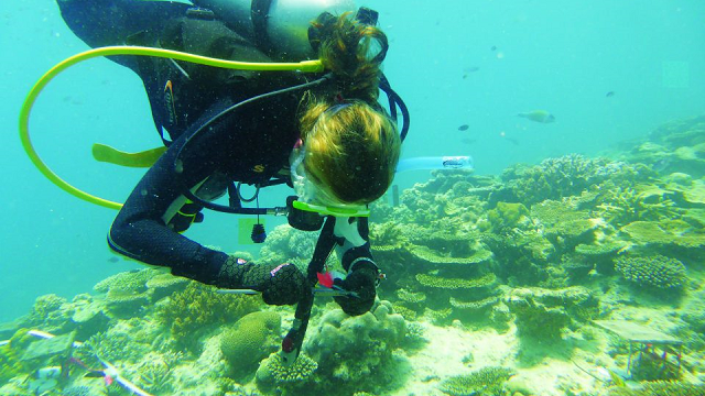Reef Warriors