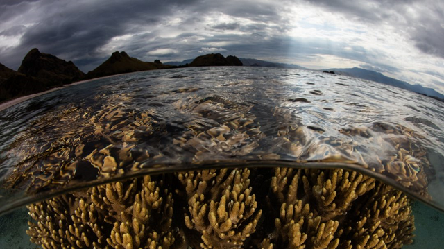 Greenhouse gasses impact on freshwater….the news isn’t good