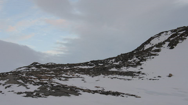 How Antarctic microbes survive on thin air