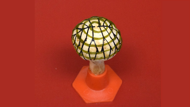 Mushrooms plus bacteria equals a new source of electrical energy