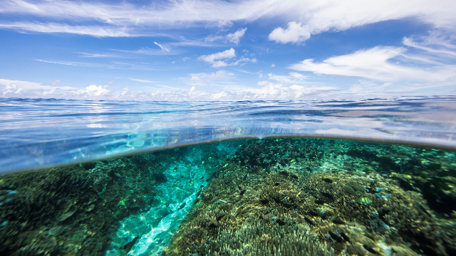 Microfibres are polluting the Great Barrier Reef