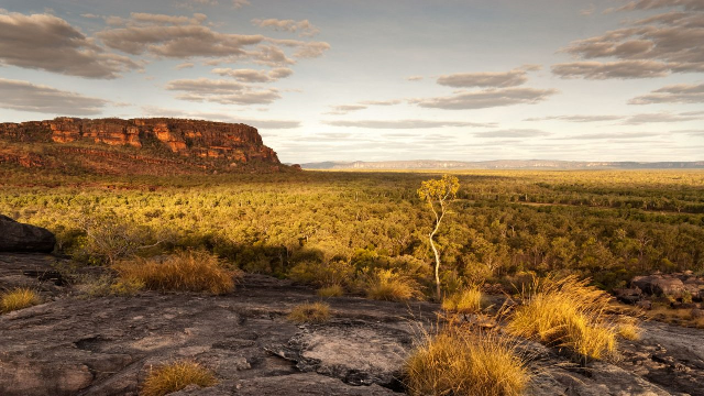 Australia, US and Brazil lead the world in weakening national parks