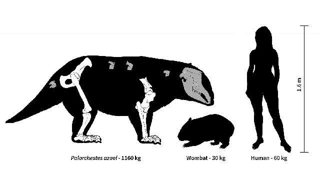 Megafauna more mega than we thought
