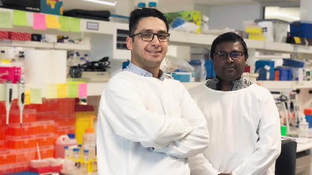 The engineer using nanotechnology to mend broken hearts