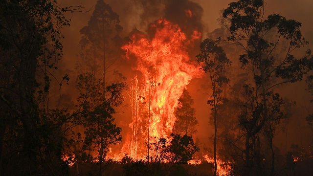 Drought and climate change were the kindling, and now the east coast is ablaze