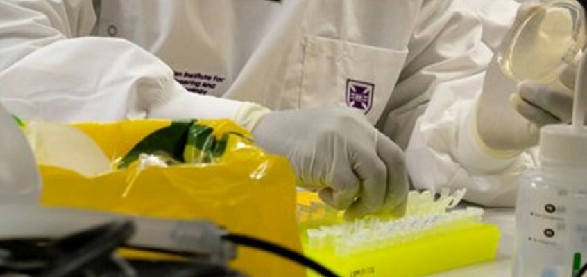 A vaccine against the virus that causes COVID-19 just took a huge step forward