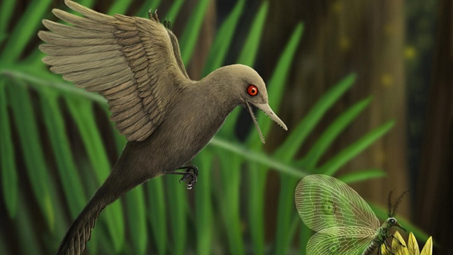 Tiny bird-like dinosaur smallest ever found