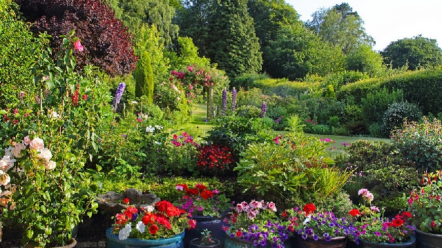 Your backyard could help reduce global warming