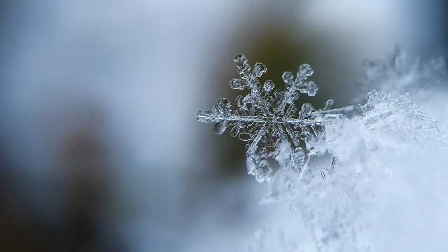 The mystique of mathematics shown in 5 beautiful maths phenomena