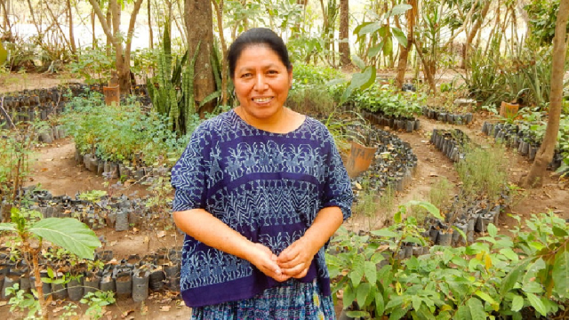 The twin values of an indigenous seed bank
