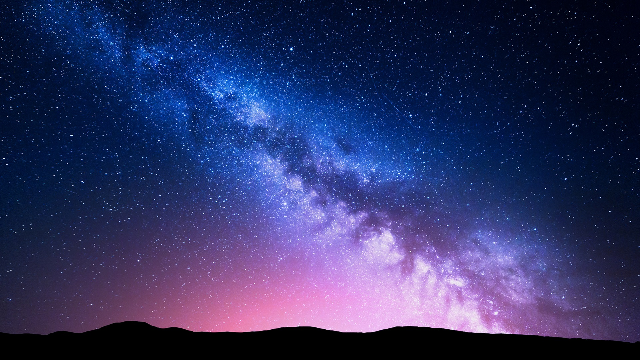 Six easy ways to stop light pollution from harming our wildlife