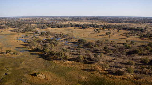 Did landscapes make land animals smart?