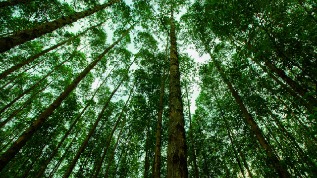 Citizen Science for the Classroom: The GLOBE Program