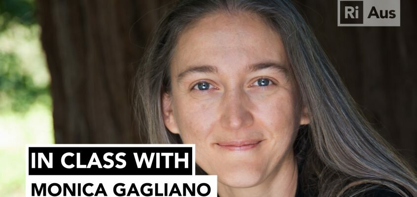 In Class With… Monica Gagliano