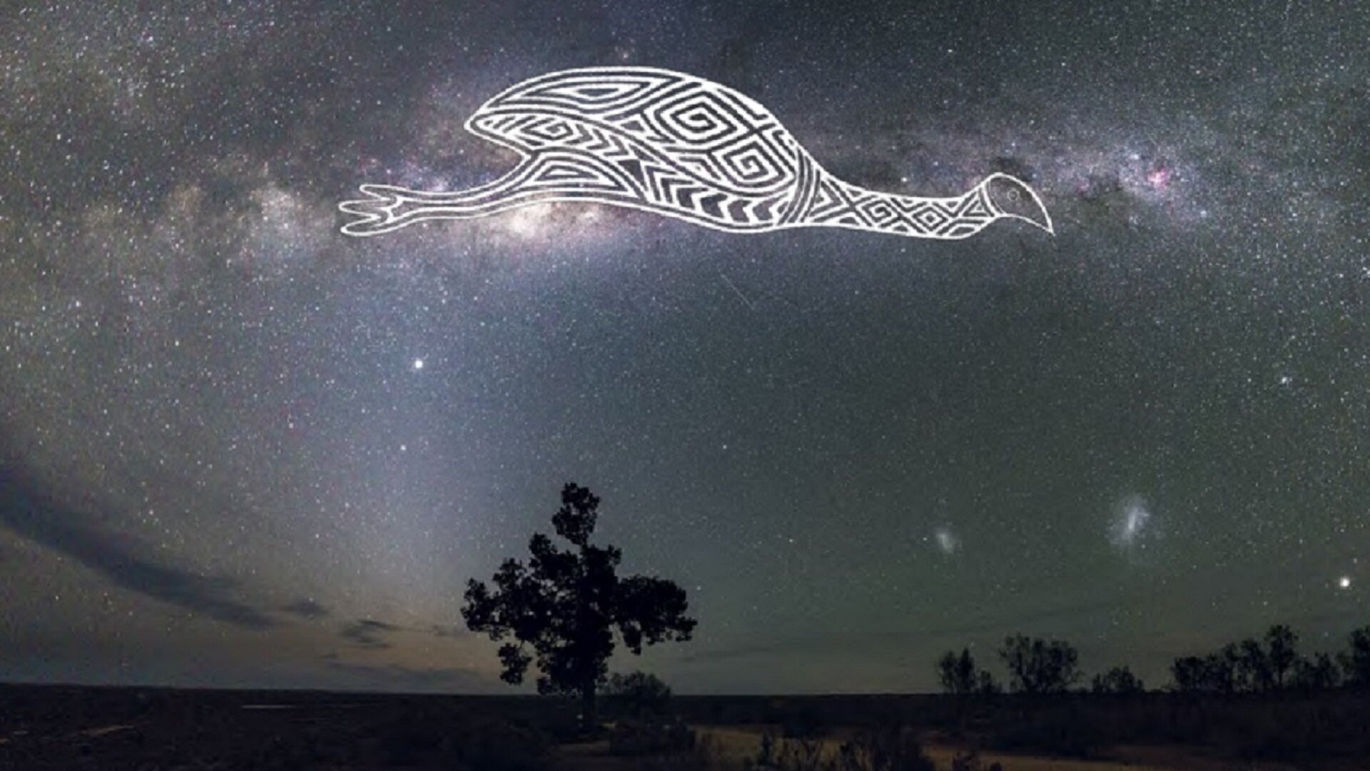 Drawing of emu across milky way