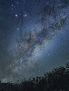 Shape of kangaroo in milky way