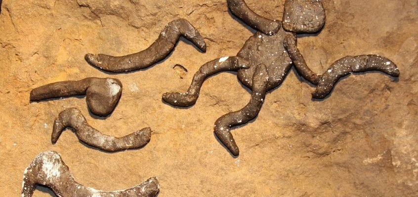 Indigenous science goes far beyond boomerangs and spears