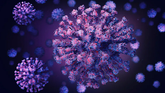 Mutations, variants and strains