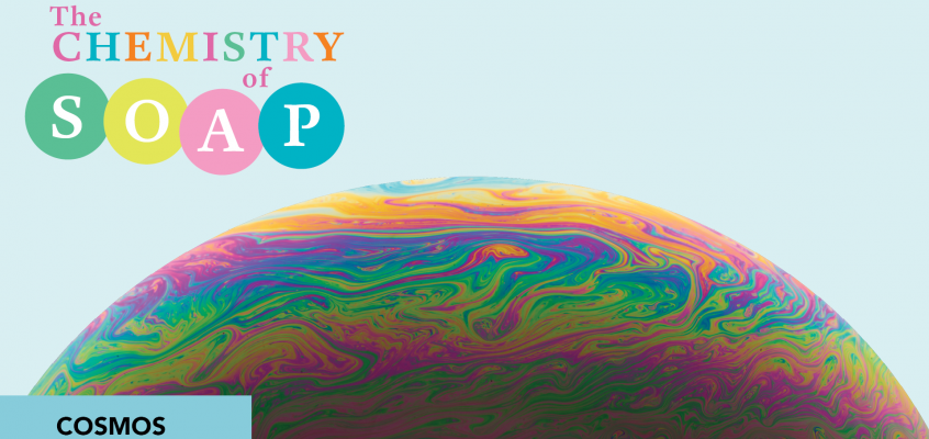 The Chemistry of Soap