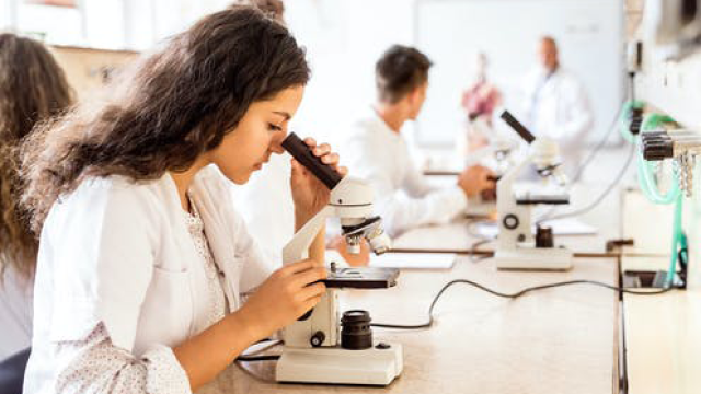 Thinking of choosing a science subject in years 11 and 12?