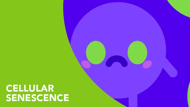 Cellular Senescence