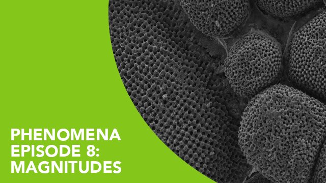 Phenomena – Episode 8: Magnitudes