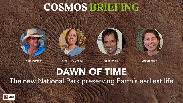Searching for the dawn of animal life